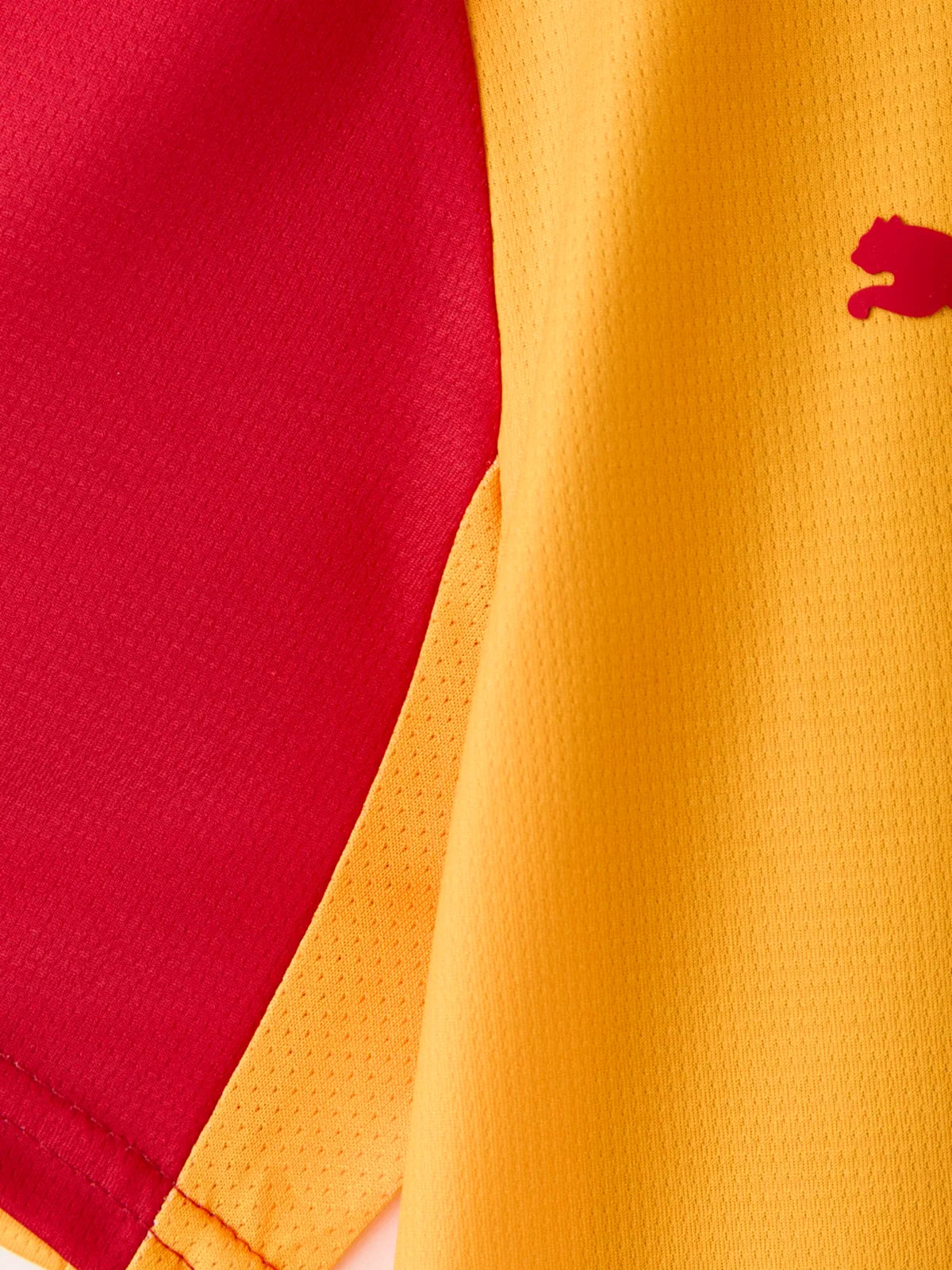 Galatasaray Third 2026/27 Fan Jersey II - photo 8