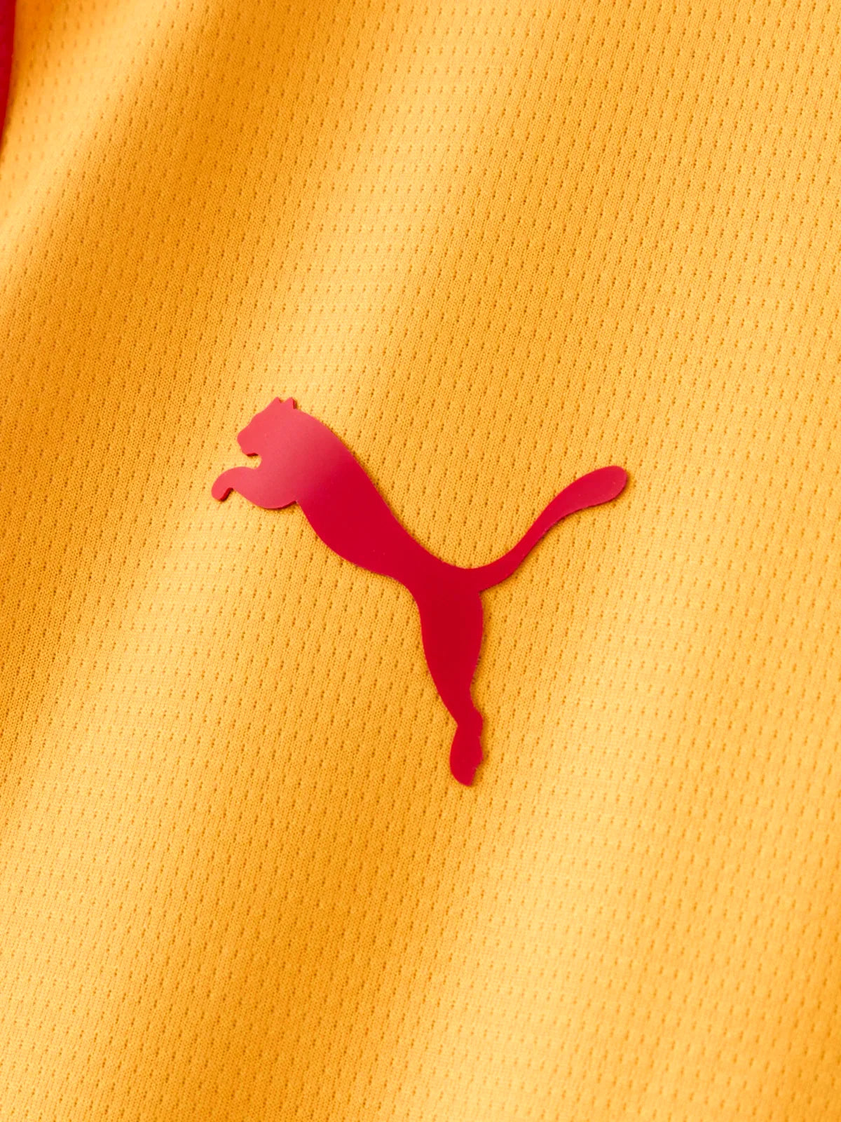 Galatasaray Third 2026/27 Fan Jersey II - photo 9