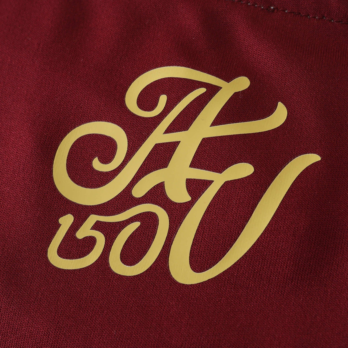 Aston Villa Home Jersey 2024/25 - photo 7