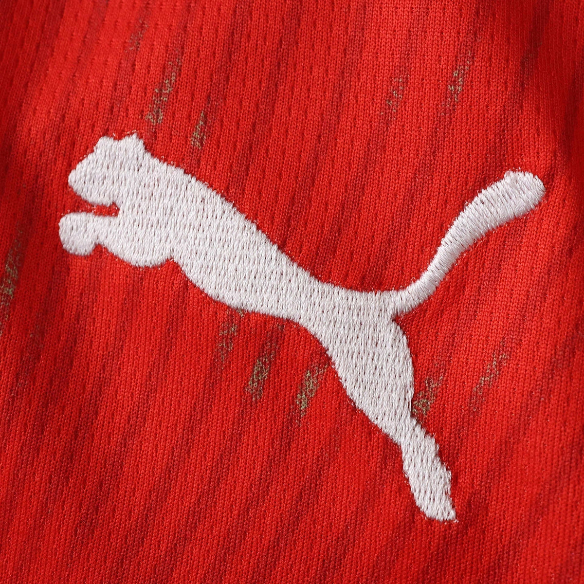 Switzerland Home Jersey 2026/27 - photo 4