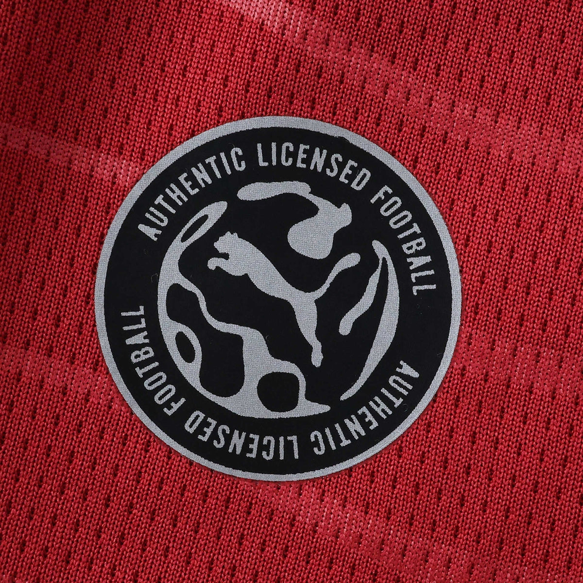 Portugal Home Jersey 2026/27 - photo 5