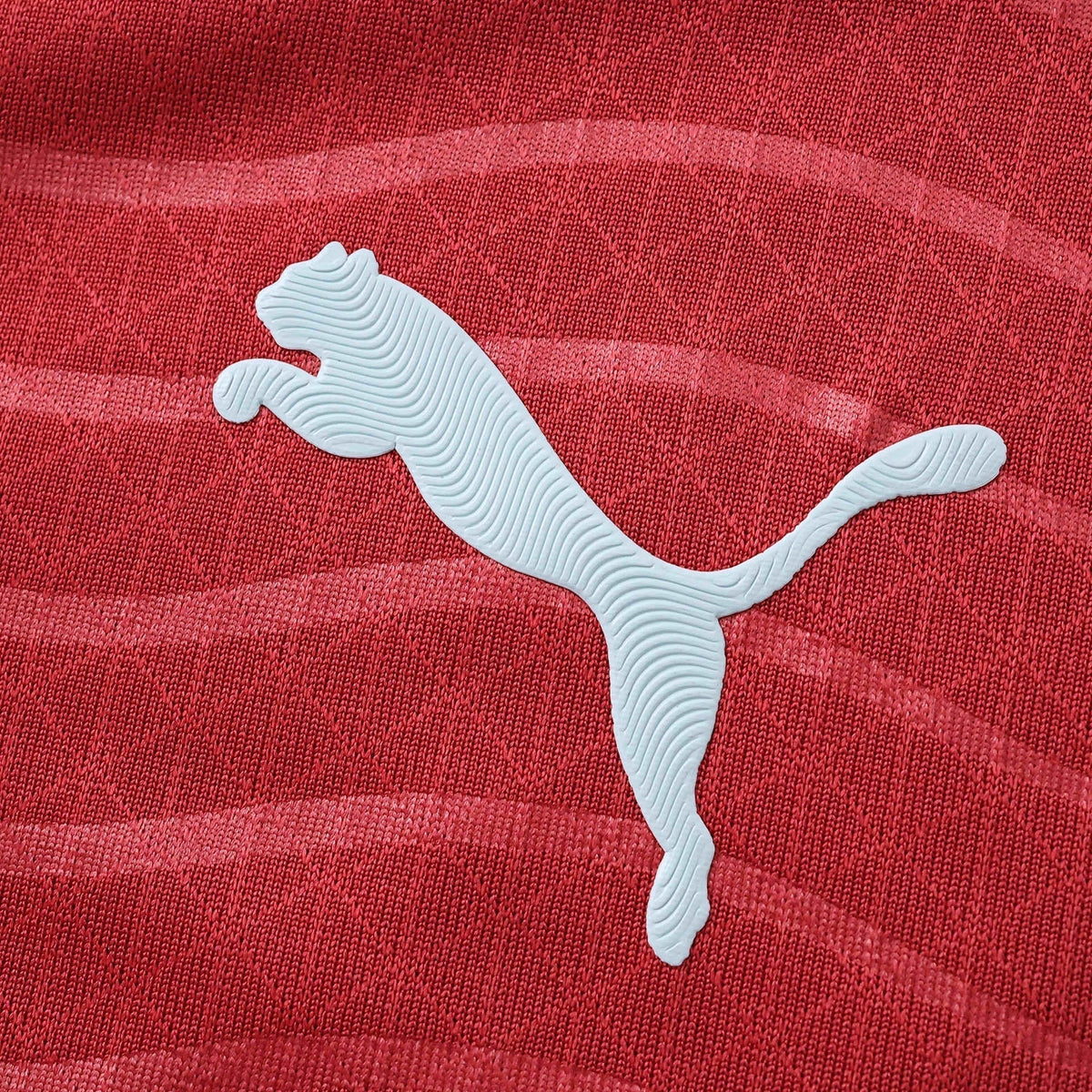 Portugal Home Jersey 2026/27 Player Version - photo 4