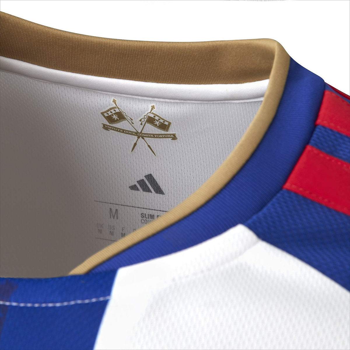 Camisa Lyon I 26/27 Torcedor - foto 5