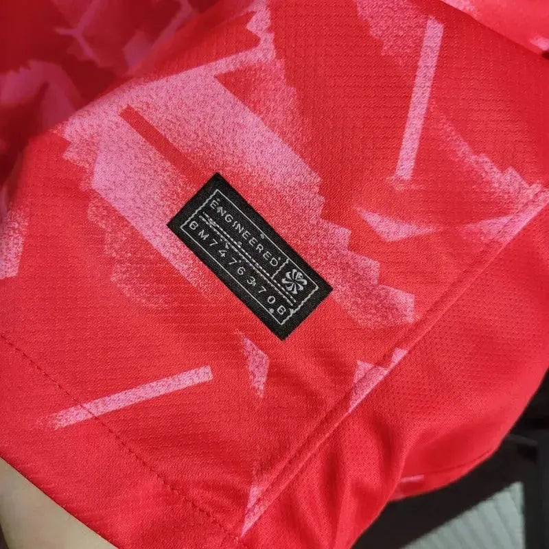 South Korea Home Jersey 2024/25 - photo 5
