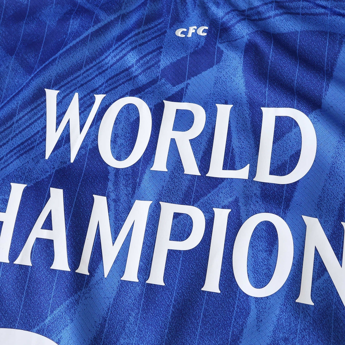 Chelsea Club World Cup 2025/26 Home Fan Jersey - photo 7