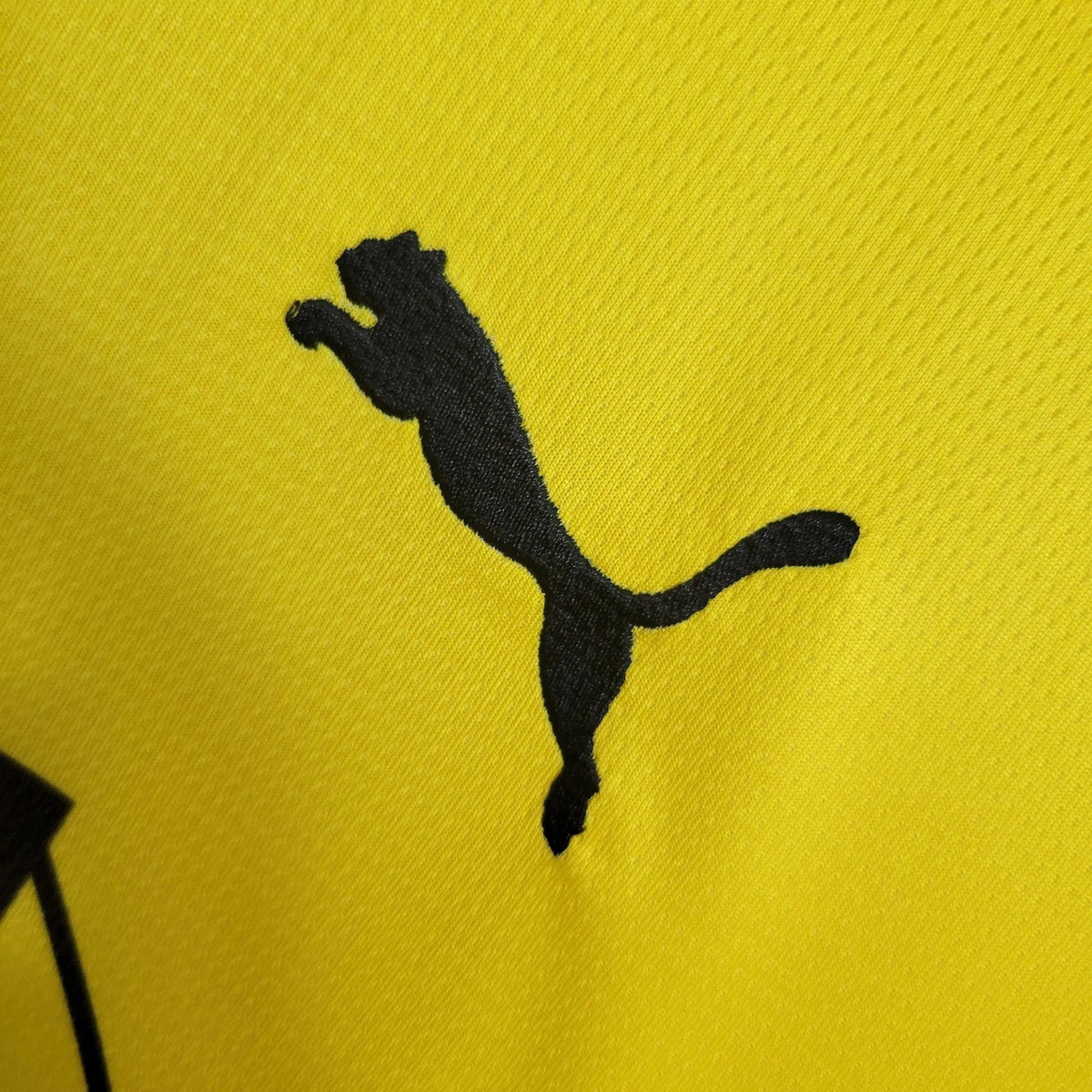 Borussia Dortmund Home Jersey 2023/24 - photo 4