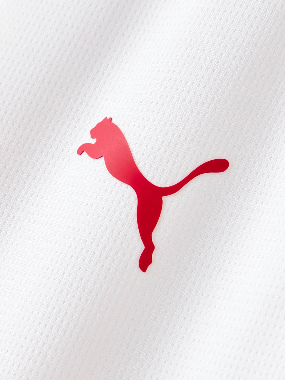Galatasaray Third 2026/27 Fan Jersey II - photo 14