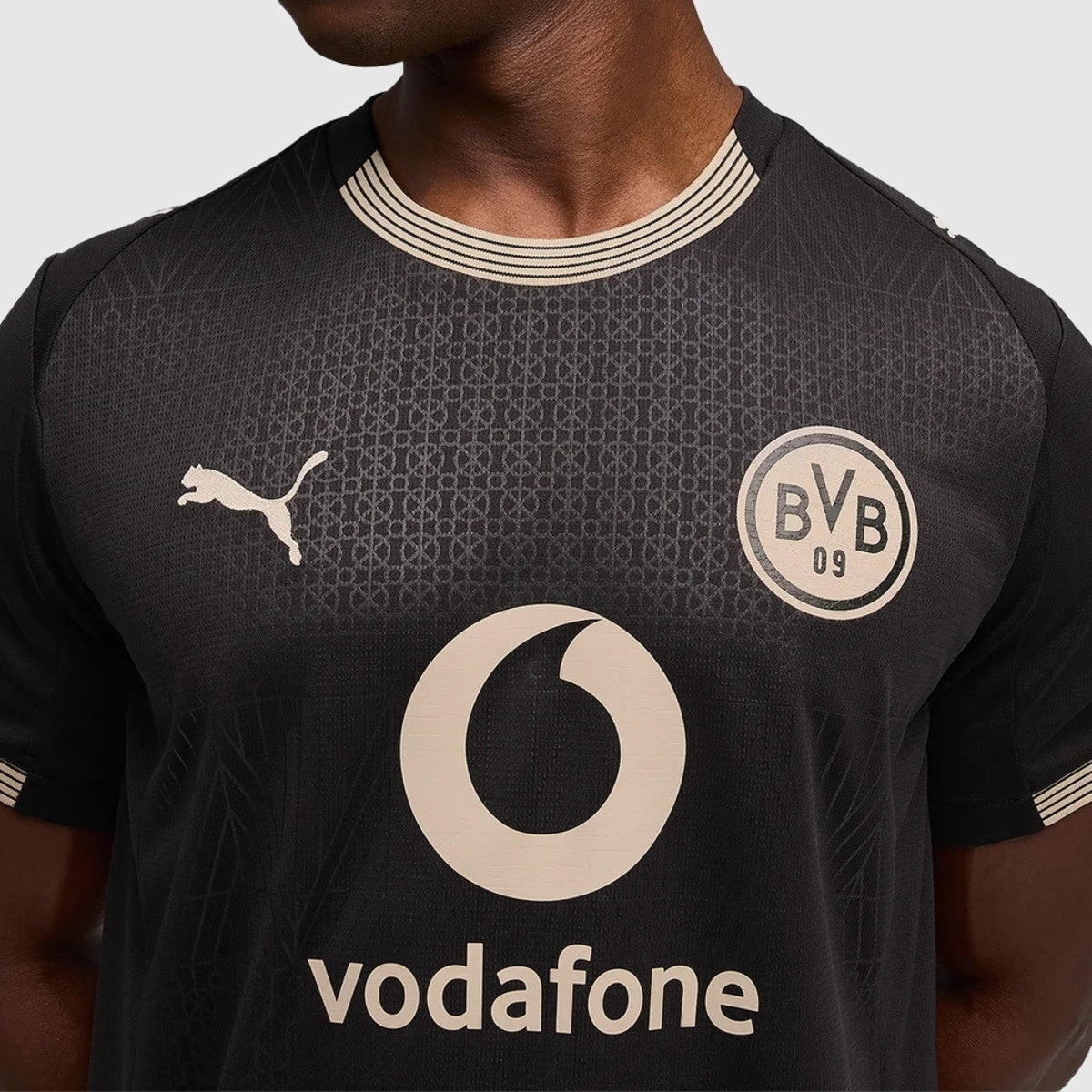 Borussia Dortmund Centenary 2025/26 Fan Jersey - photo 2