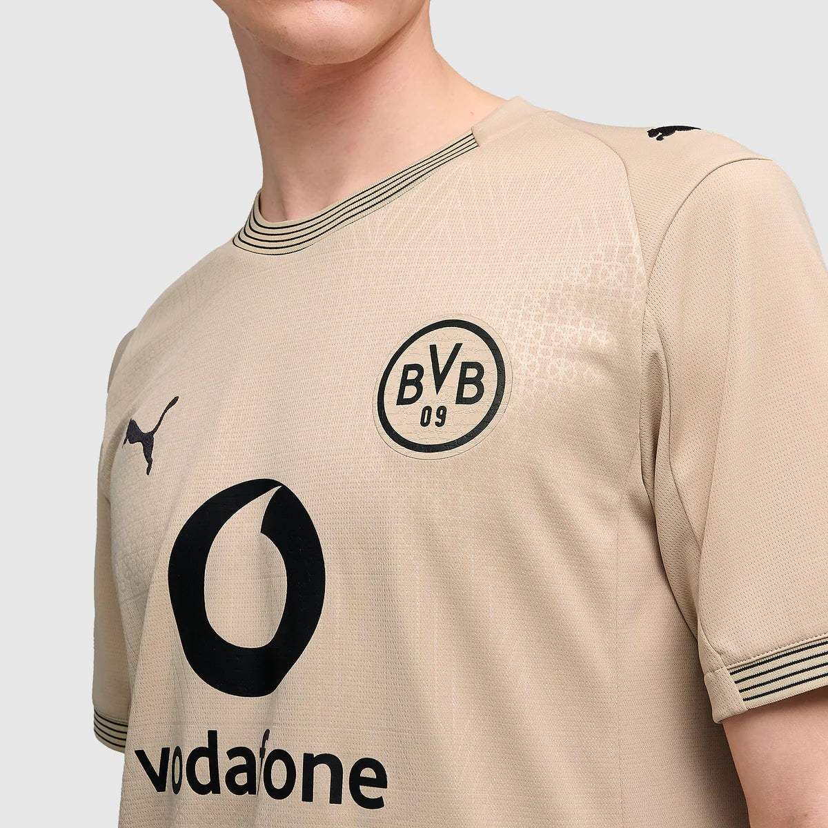 Borussia Dortmund Centenary Goalkeeper 2025/26 Jersey - photo 4