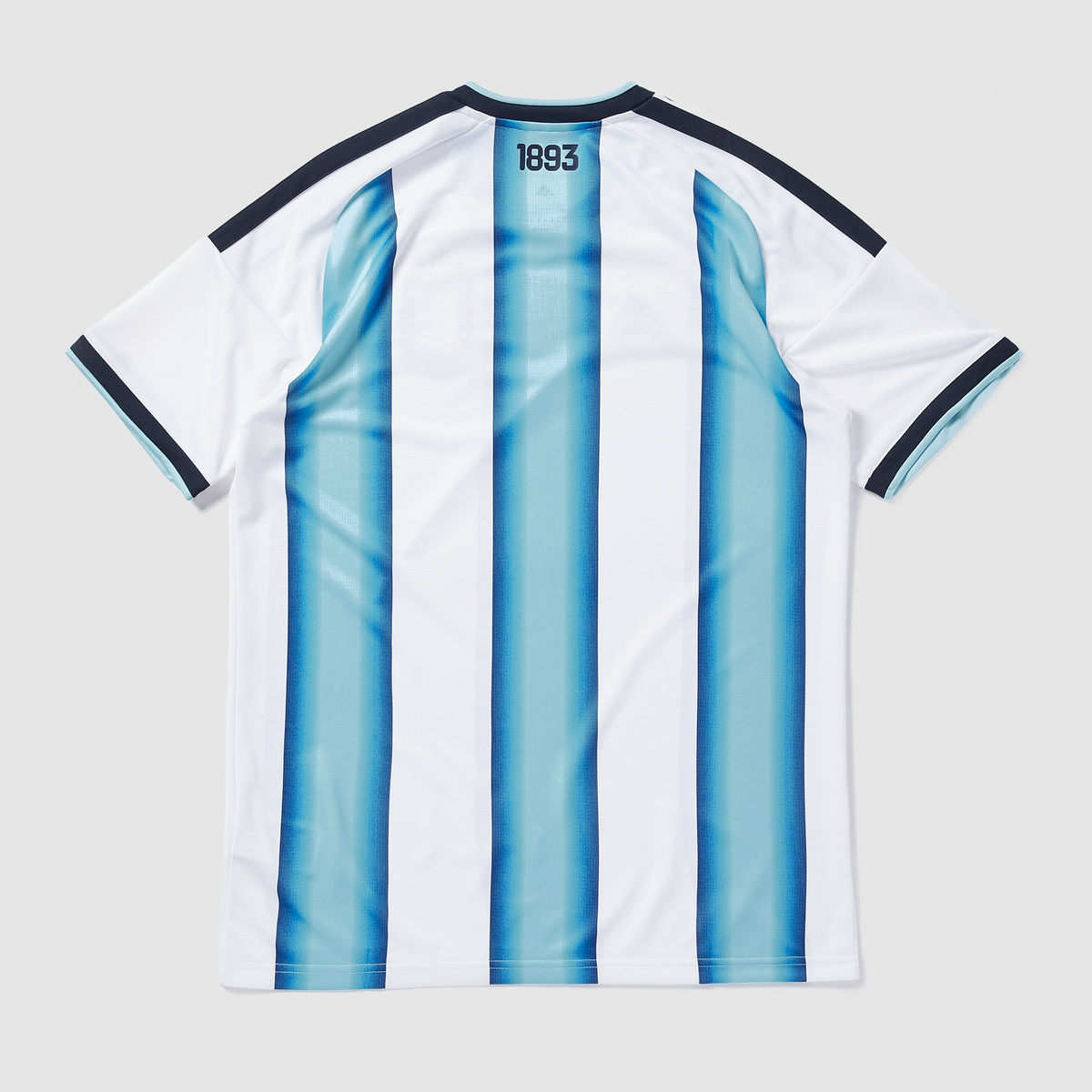 Argentina Home Jersey 2026/27 - photo 2