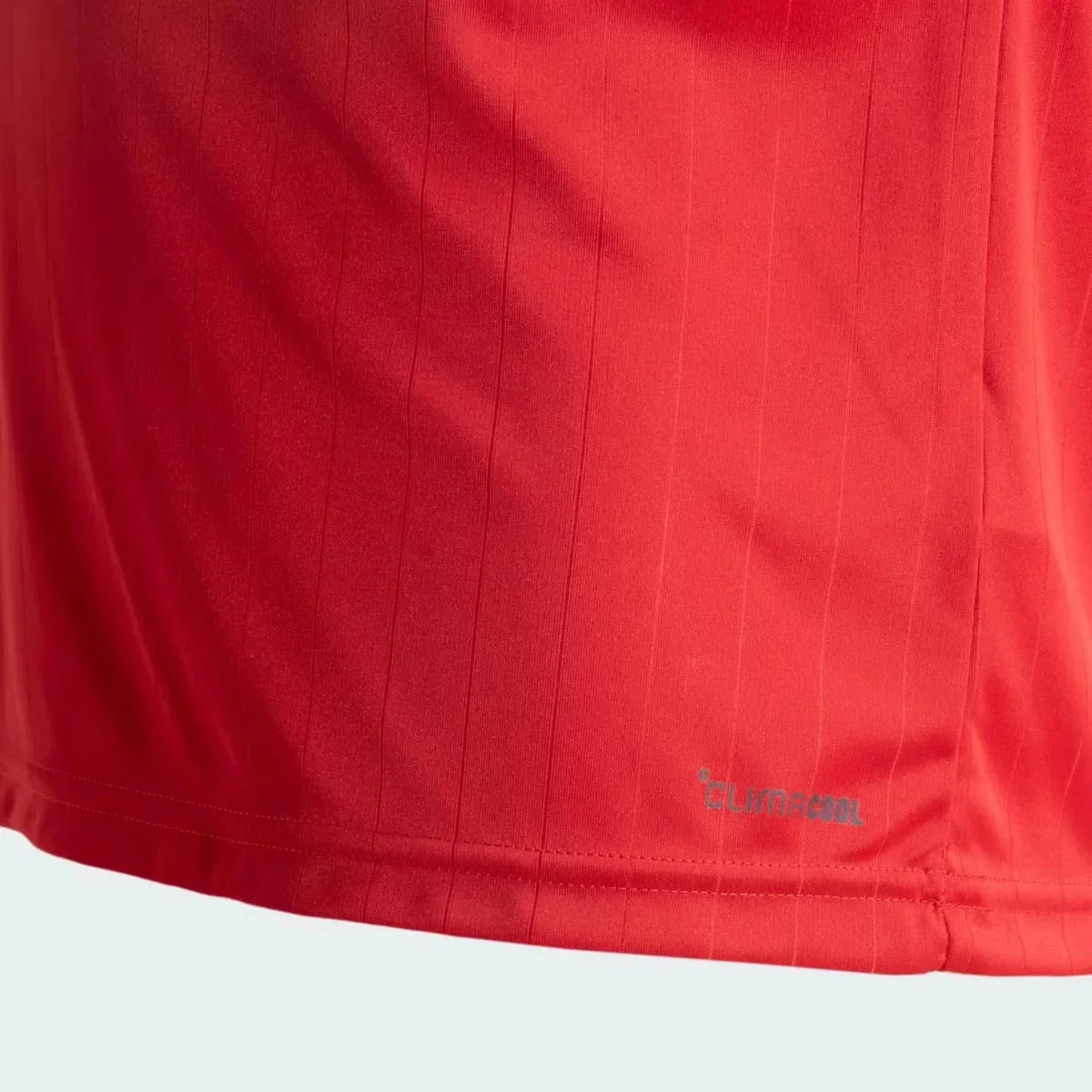 Internacional Home Jersey 2026 - photo 5