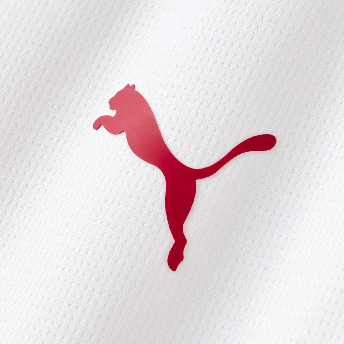 Galatasaray Away Jersey 2026/27 - photo 4