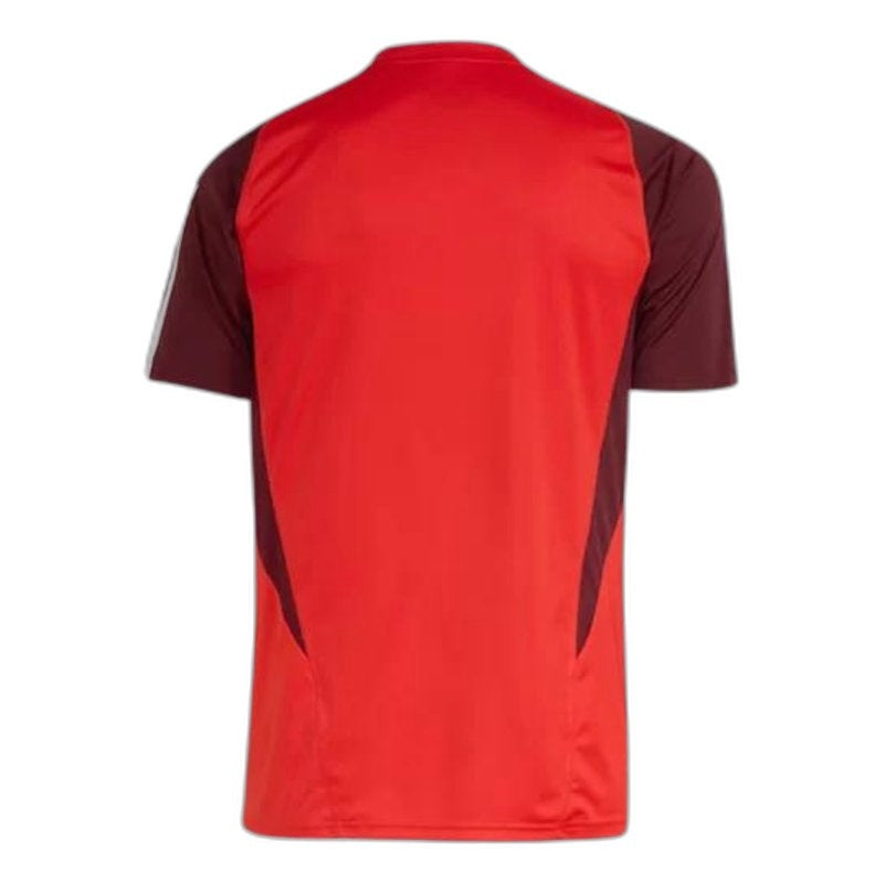 Internacional Training Jersey 2024/25 - photo 5