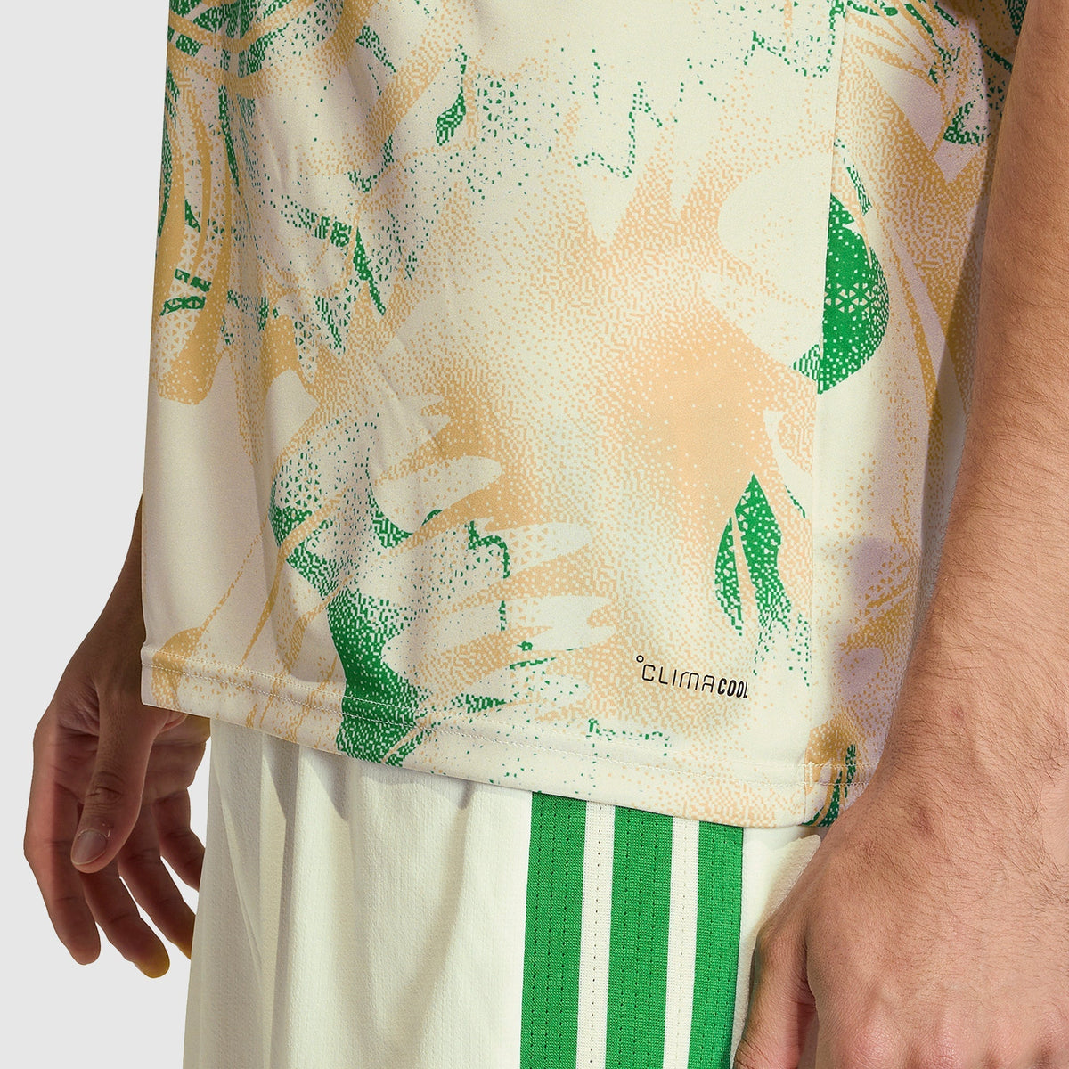 Algeria Pre-Match Jersey 2026/27 - Cream Green Swirl - photo 6