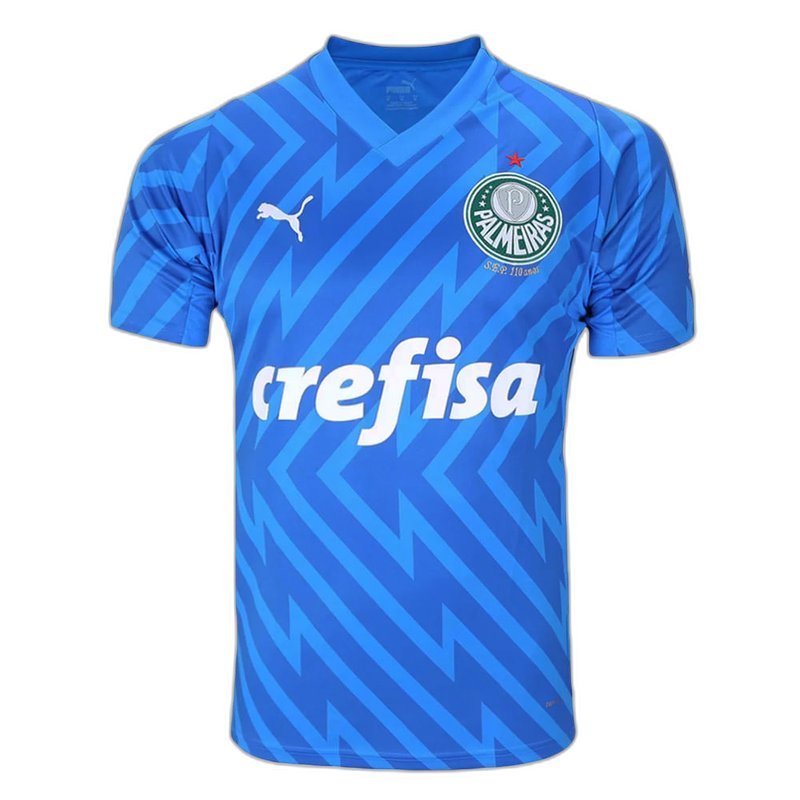 Camisa de Goleiro Palmeiras 24/25 Torcedor