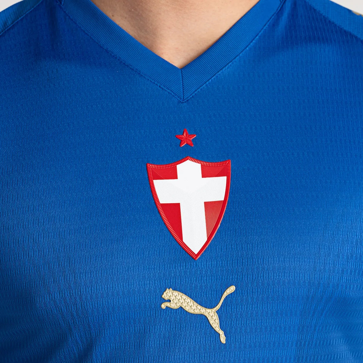 Palmeiras Third Jersey 2026/27 Player Version - photo 4